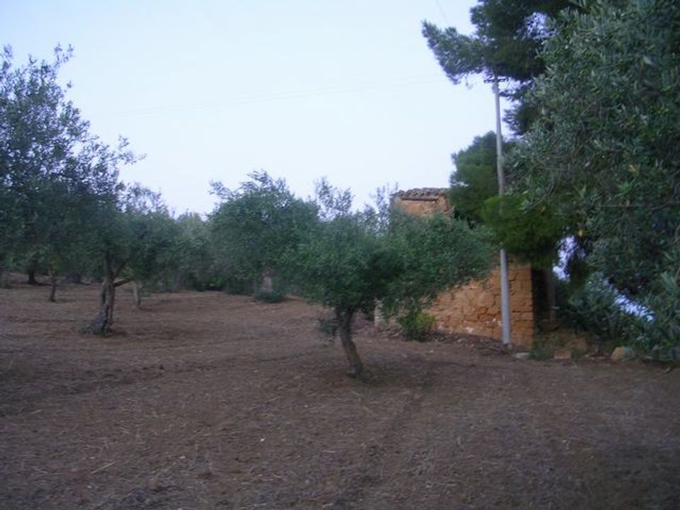 Helårsgrund i Cianciana, Agrigento - foto 5
